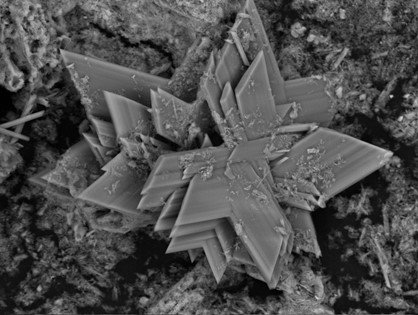 Gipsrosette 208997