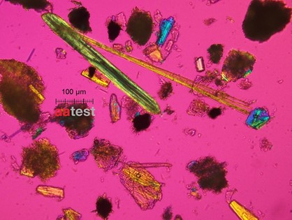 Nadelige Hornblende (Antho) 195499